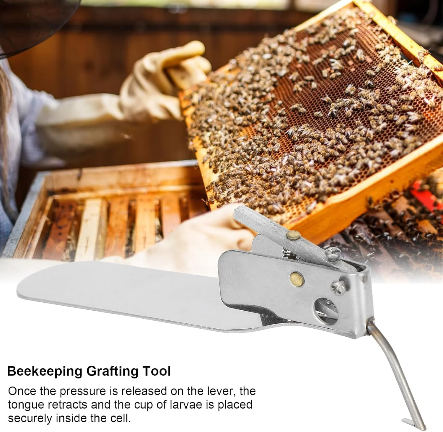 TOPINCN Beekeeping Grafting Tool, Stainless Steel Transfer Needle