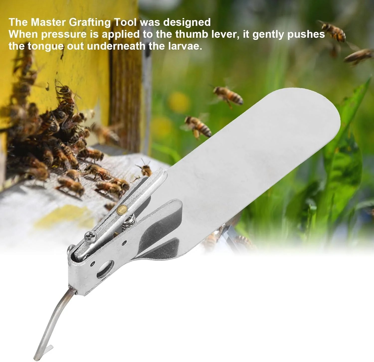 TOPINCN Beekeeping Grafting Tool, Stainless Steel Transfer Needle