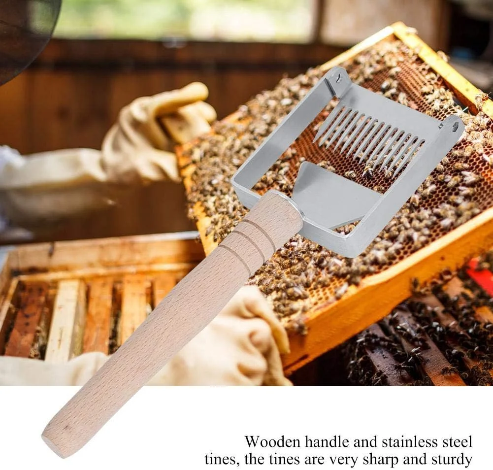 TOPINCN Honey Uncapping Scraper Stainless Steel Honeycomb Honey